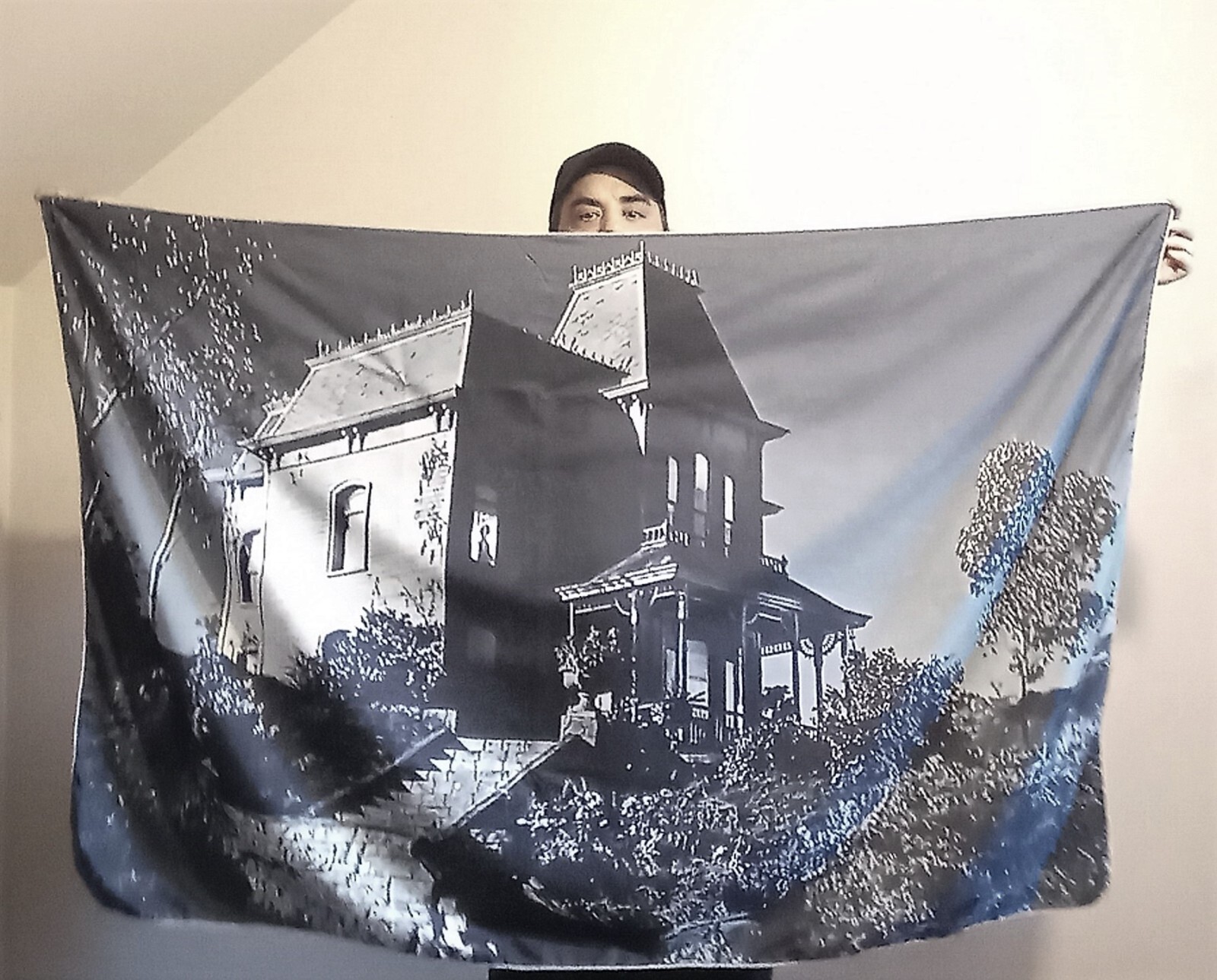 Psycho House tapestry 🔪 Norman Bates 🔪 horror banner wall flag
