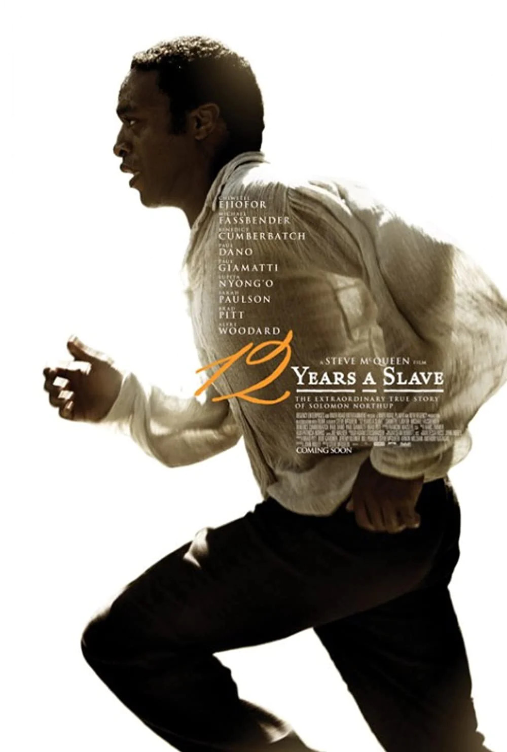12 Years A Slave Original Theatrical Movie Poster