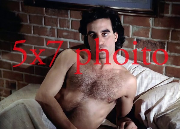 5X7 PHOTO,DYNASTY #140,RAY ABRUZZO, BARECHESTED,SHIRTLESS,the colbys