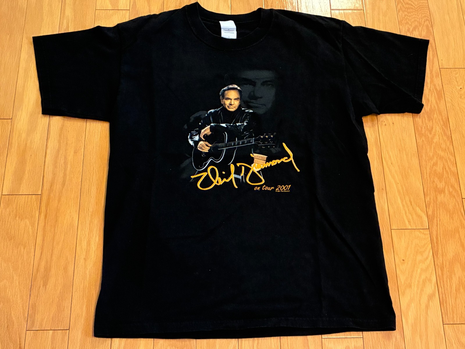 Neil Diamond 2001 On Tour Men’s T-Shirt Tee Size L Gildan Activewear Vintage