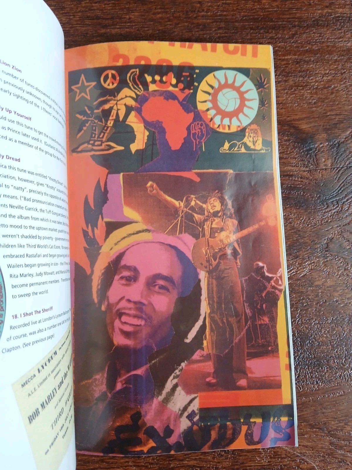 🔥🎶Bob Marley – Catch A Fire The Life of Bob Marley and Songs Of Freedom Books