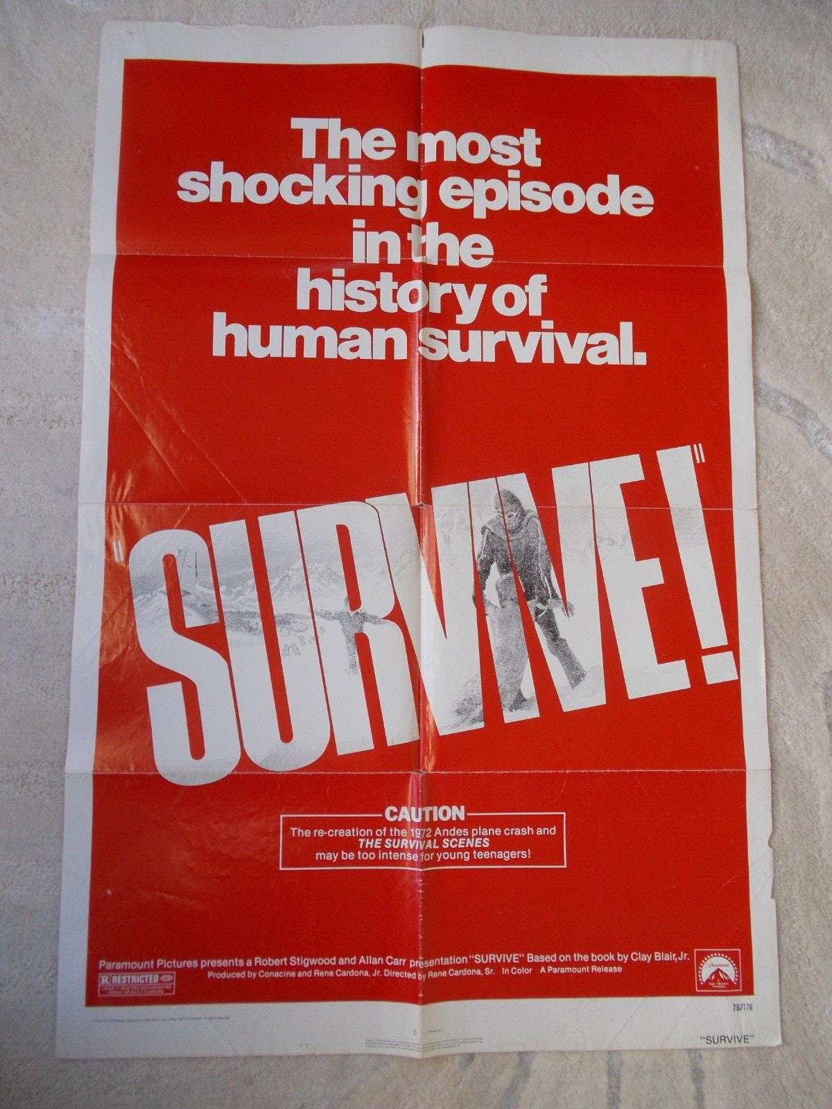 SURVIVE original 1976 Jet crash horror film one sheet movie poster folded