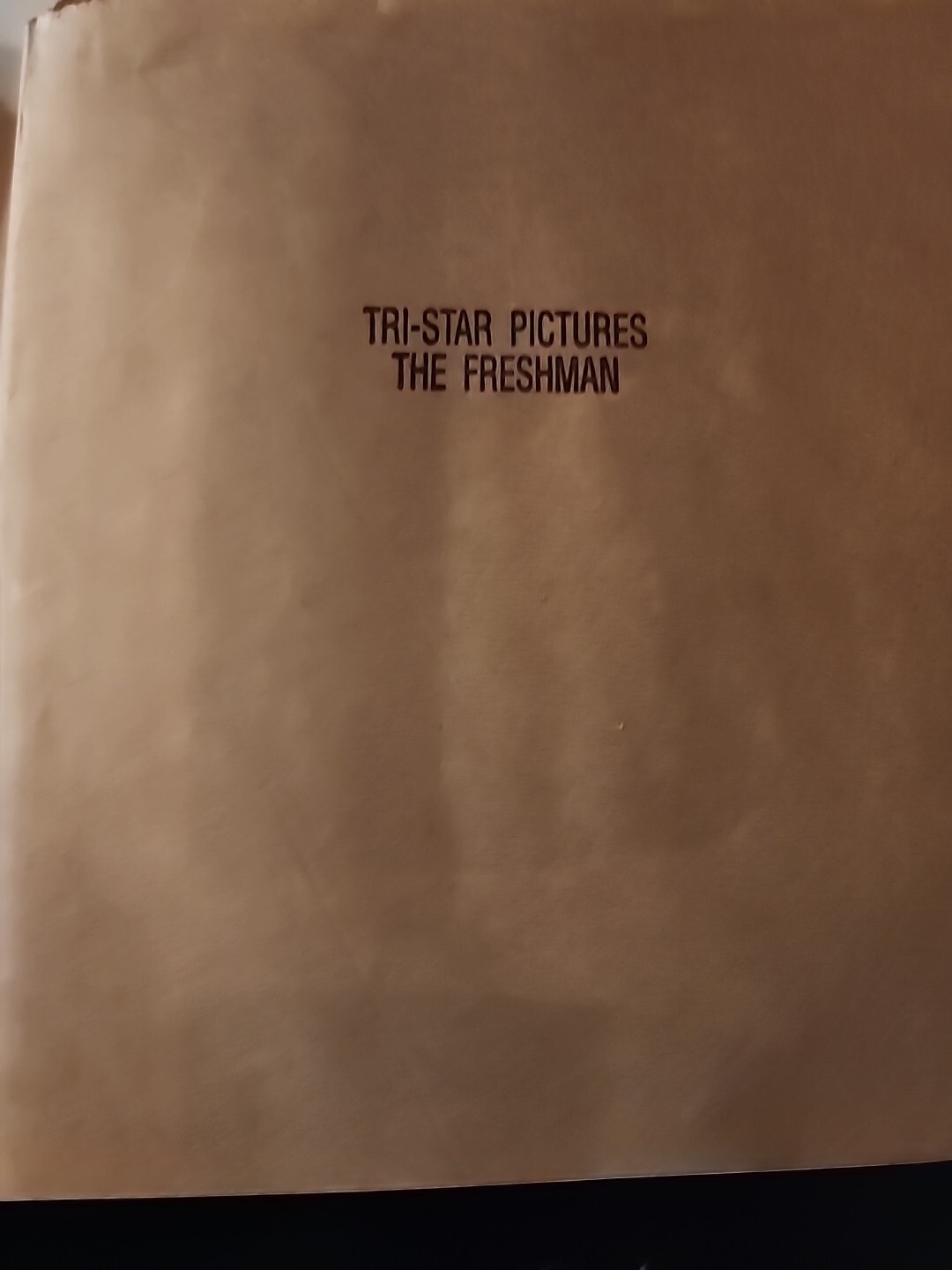 THE FRESHMAN PRESS KIT MATTHEW BRODERICK MARLON BRANDO JEY SET IN BAG RARE Thus