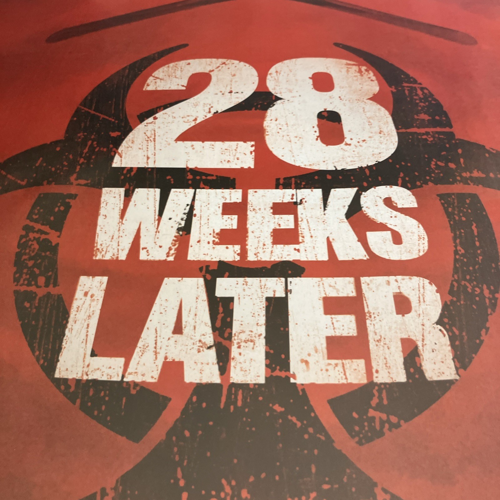 28 Weeks Later Original Advance DS 1-Sheet Movie Poster (2007) – Horror – Double