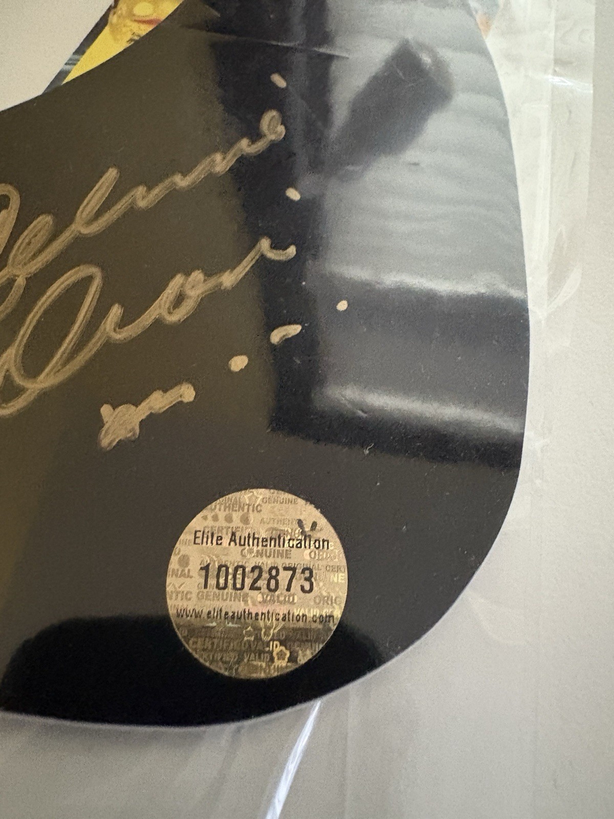 Celine Dion Guitar Pickguard Autographed Memorabilia