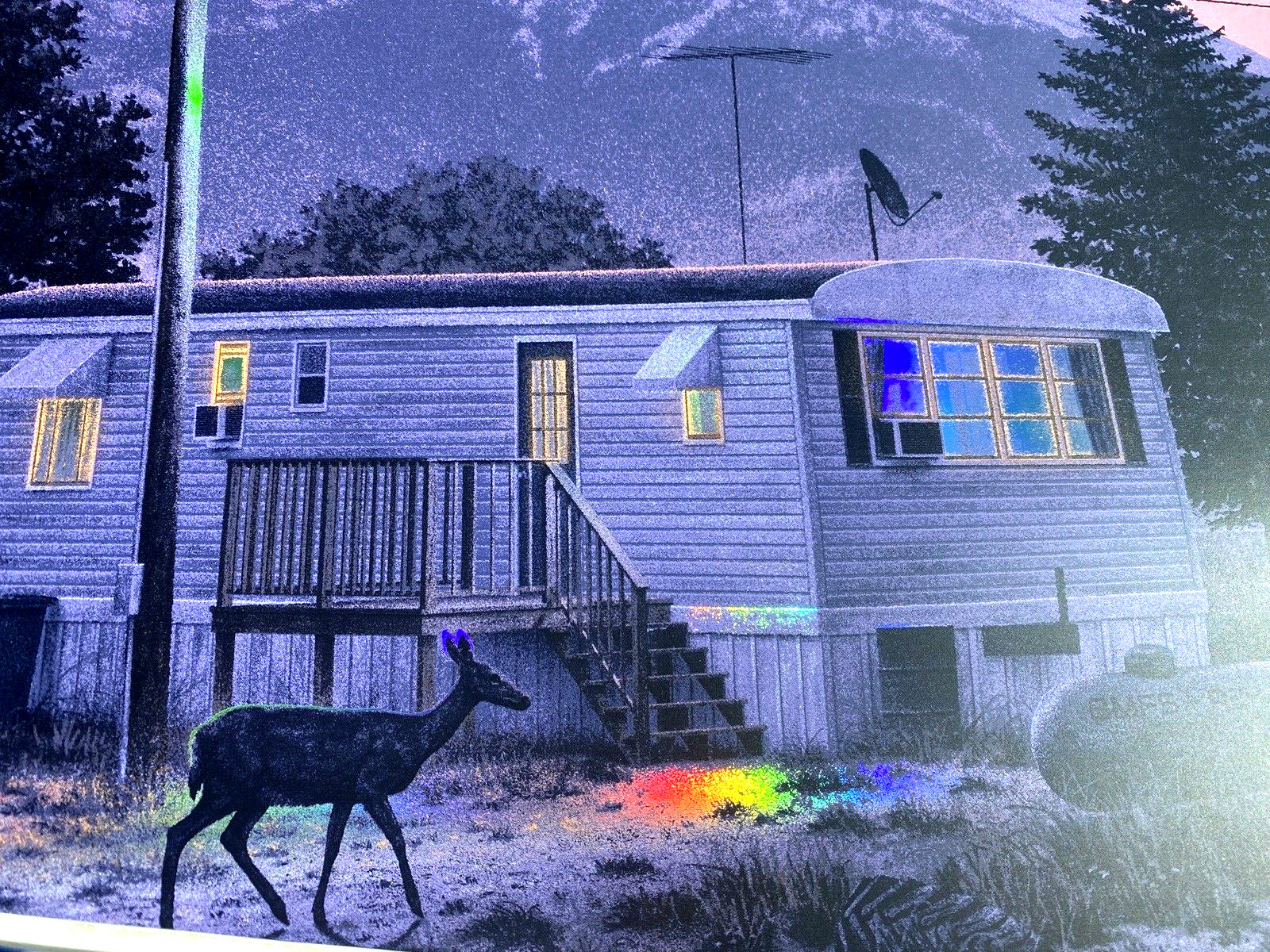 RAINBOW FOIL BILLY STRINGS POSTER Renewal Buena Vista CO N1 2024 AP Signed LTD25