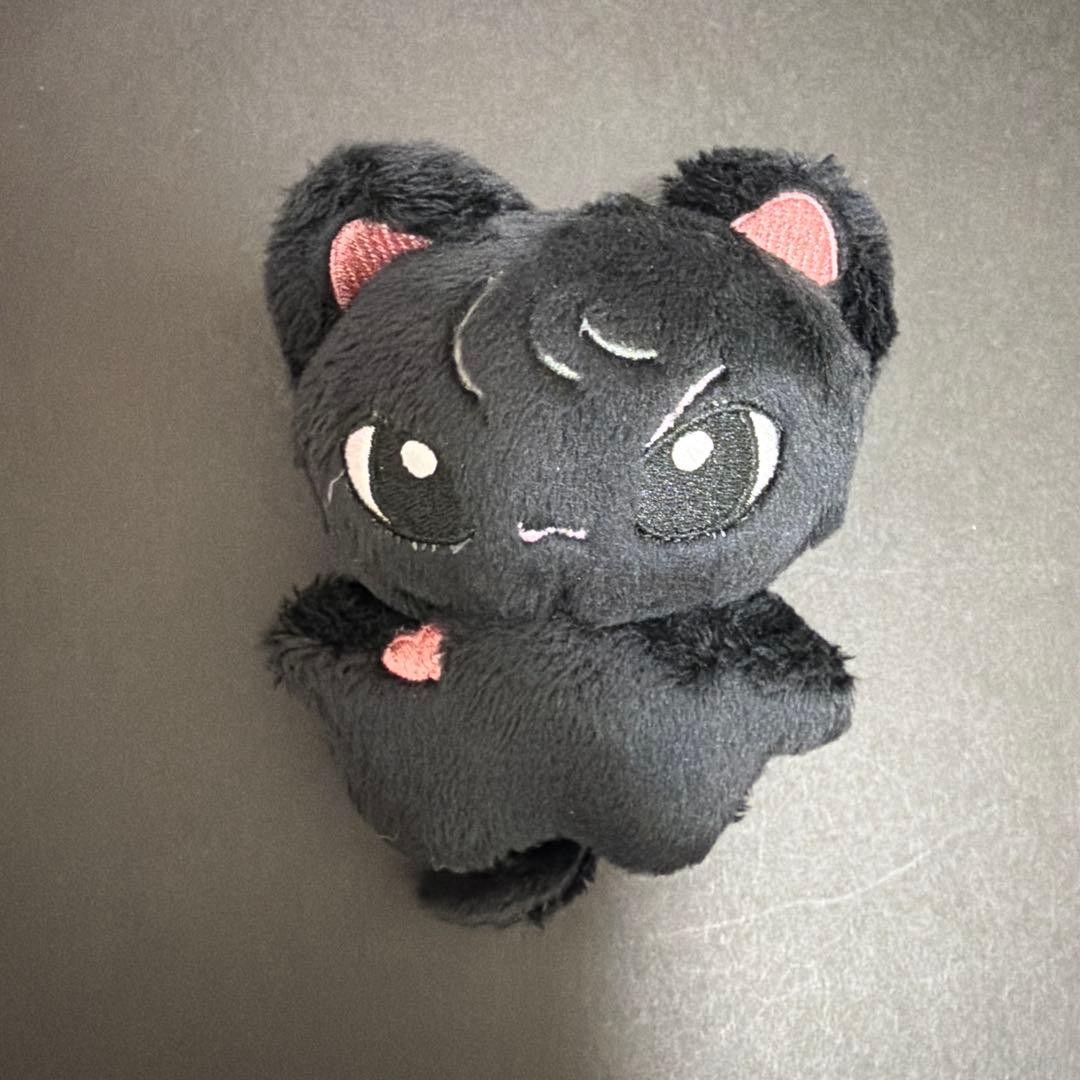 BOYNEXTDOOR plushie 10cm Master SUNGHO