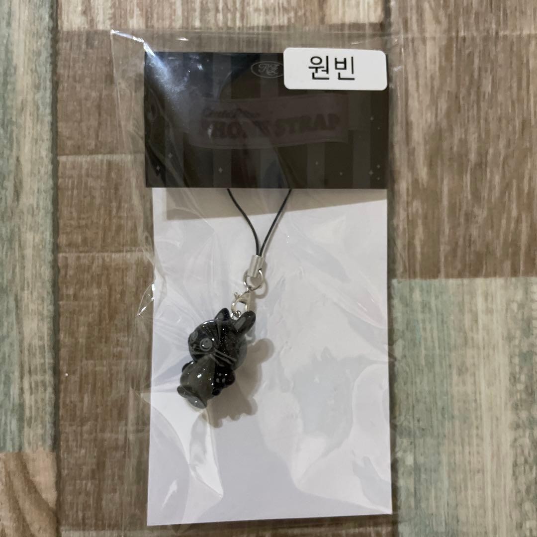 RIIZE Wonbin fame phone strap Keyring