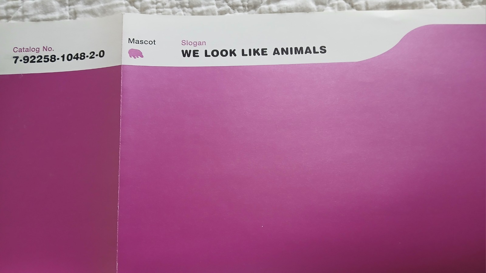 The Promise Ring “Electric Pink” Promo Poster