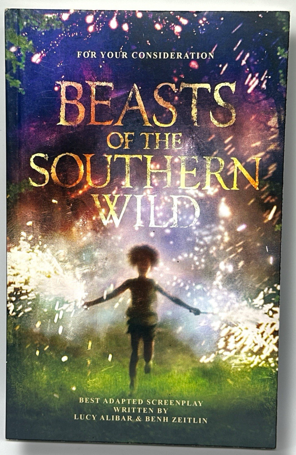 Beasts of the Southern Wild FYC Paperback Screenplay