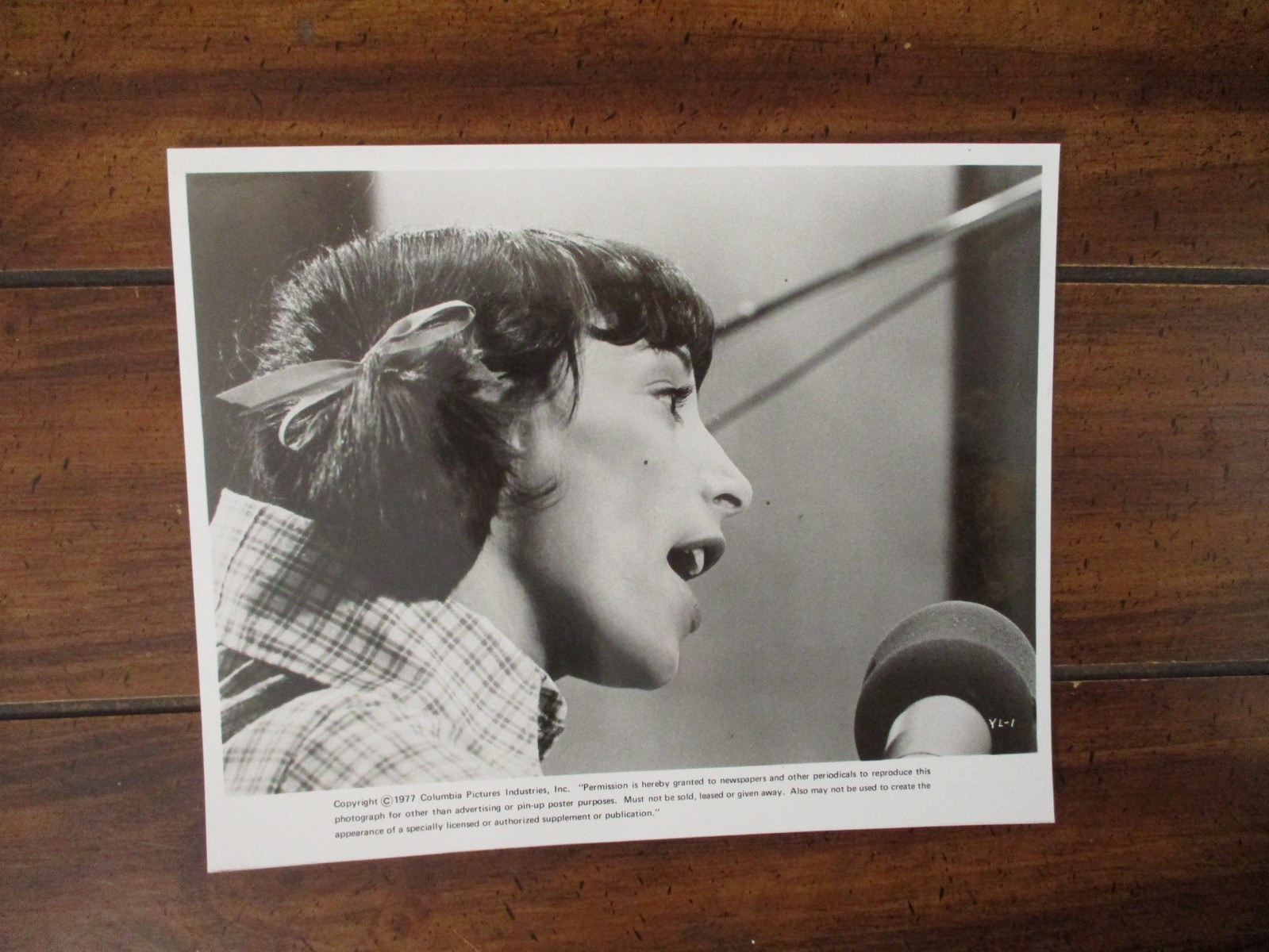 Didi Conn (“YOU LIGHT UP MY LIFE”)1977 10 X 8 Glossy Black and White Press Photo
