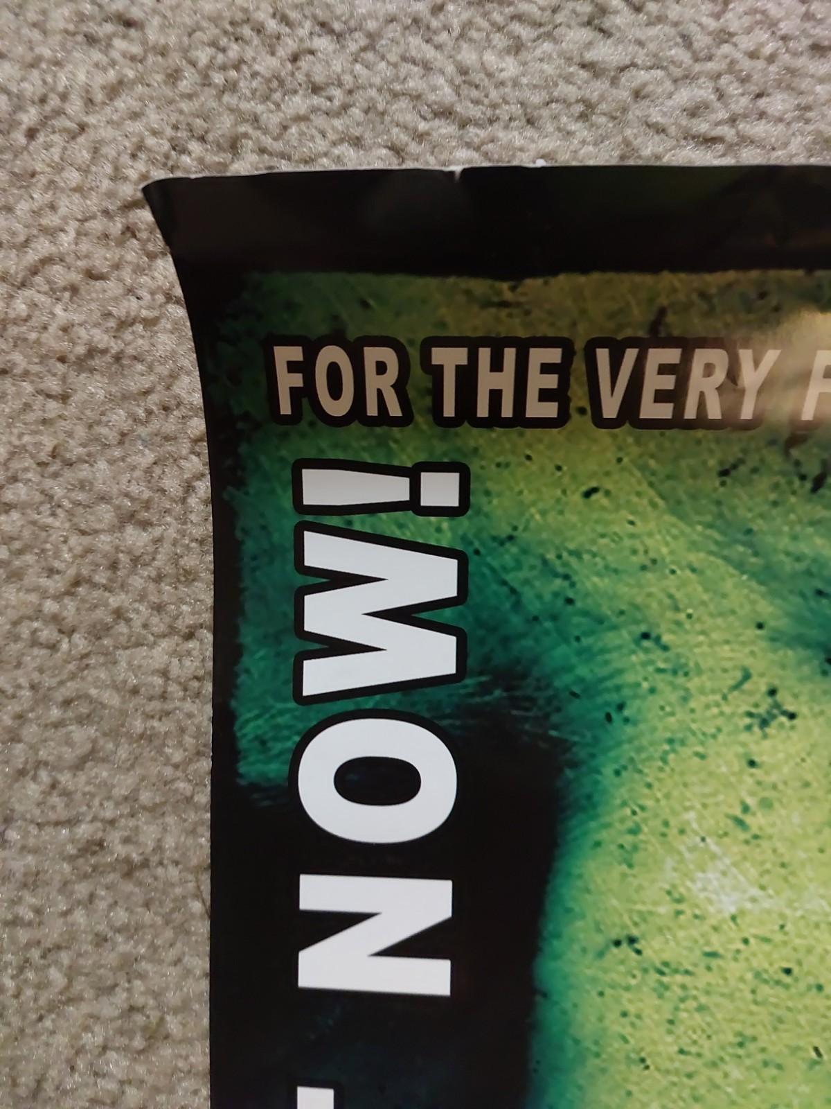 Type O Negative Symphony For The Devil 18″×24″ Promo Poster Good Condition