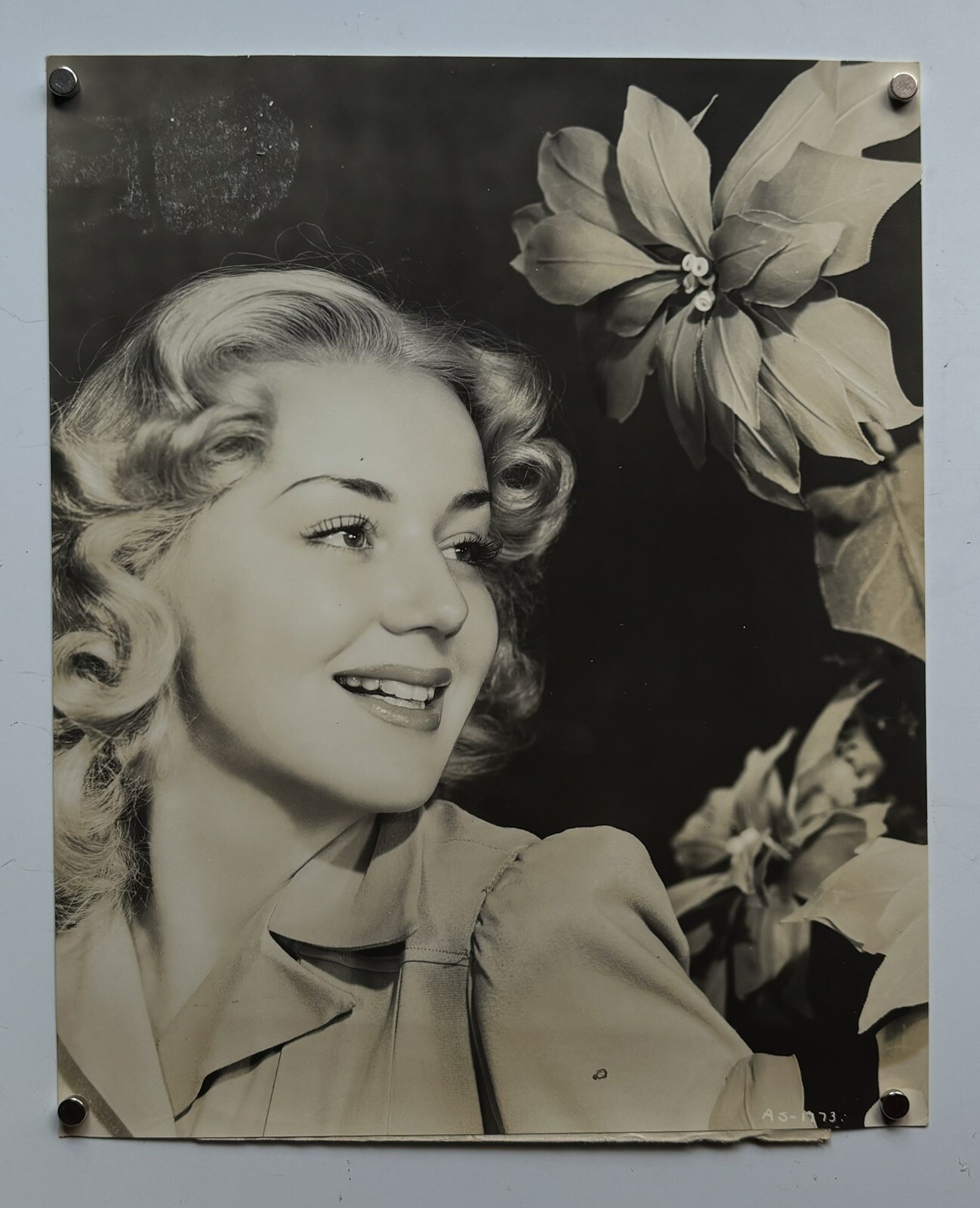 ANNE SHIRLEY Original Vintage c1940’s Studio Portrait Sepia 9×7.25” Photograph