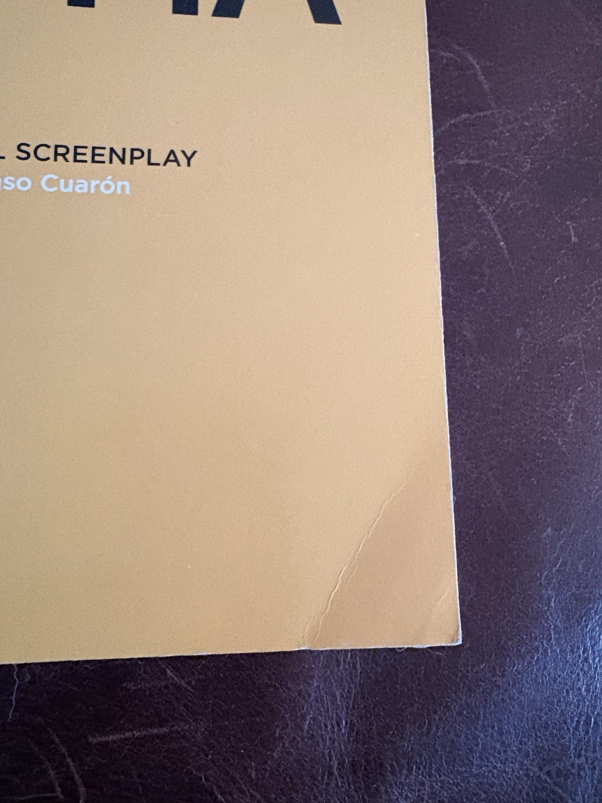 ROMA English & Spanish Screenplay For Your Consideration Netflix Alfonso Cuarón