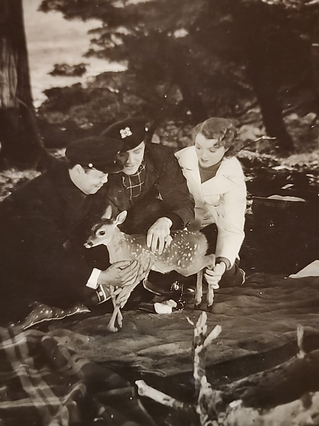 1936 JANET GAYNOR ROBERT TAYLOR Doe SMALL TOWN GIRL MOVIE PHOTO BOB BOARD ORGinl