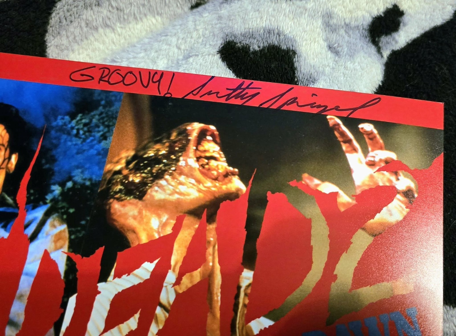 Scotty Spiegel signed autograph Evil Dead 2 photo 8×10 horror auto Groovy RARE