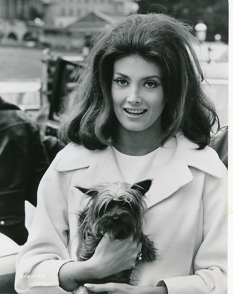 GAYLE HUNNICUTT Terrier Dog CANDID Vintage 1969 EYE OF THE CAT Universal Photo