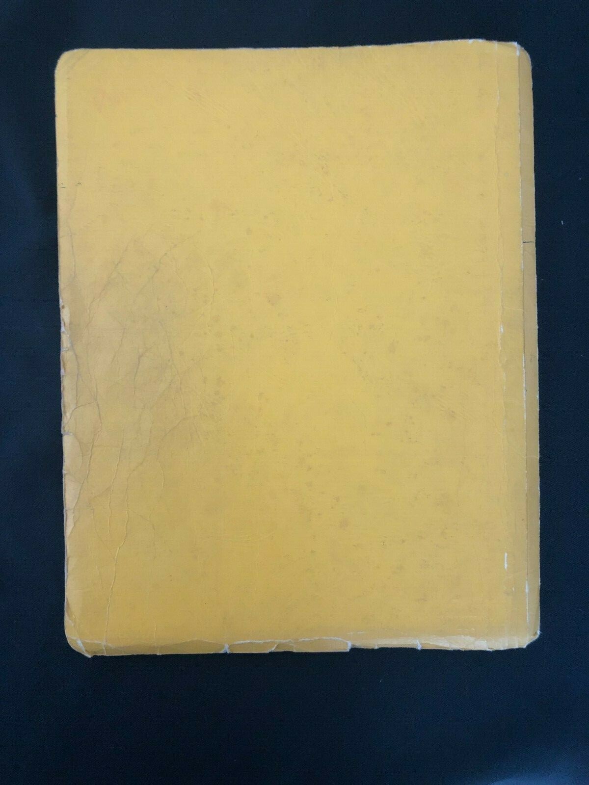 1971 Script “The Yellow Brick Road” Adapted by Iris Siff Alley Theater Wizard Oz