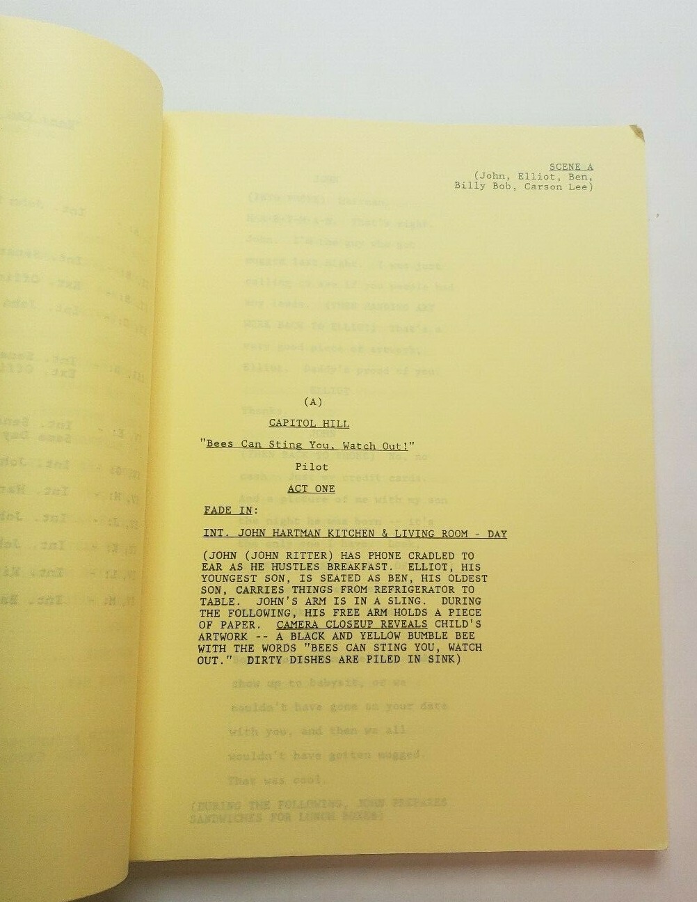 HEARTS AFIRE / 1992 TV Script PILOT EPISODE “Bees Can Sting You, Watch Out!”