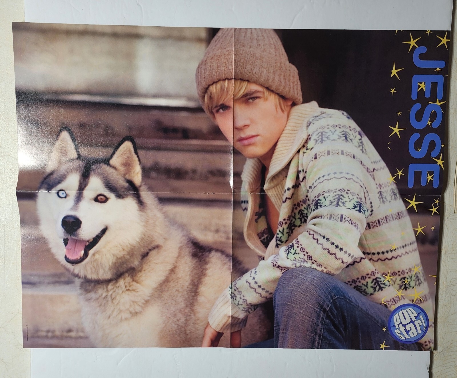 Jesse McCartney husky dog JOJO double-sided Poster clipping 20×16 2021
