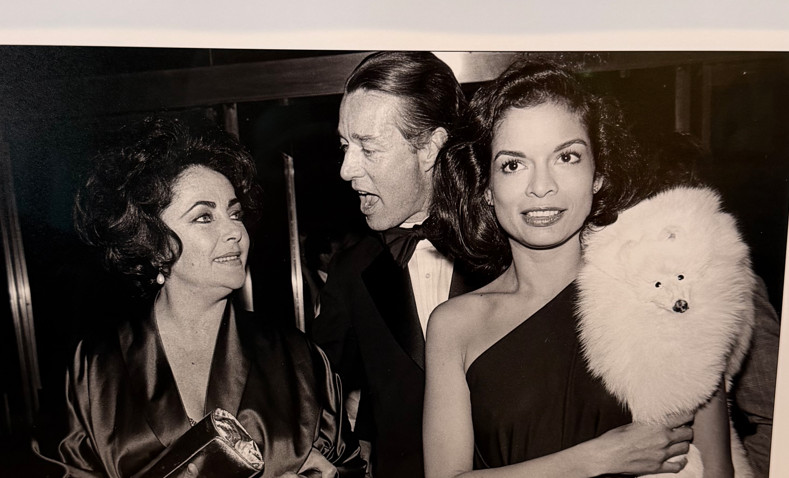 Allan Tannenbaum – Signed Bianca Jagger Liz Taylor Halston Studio 54 Photo 5/50