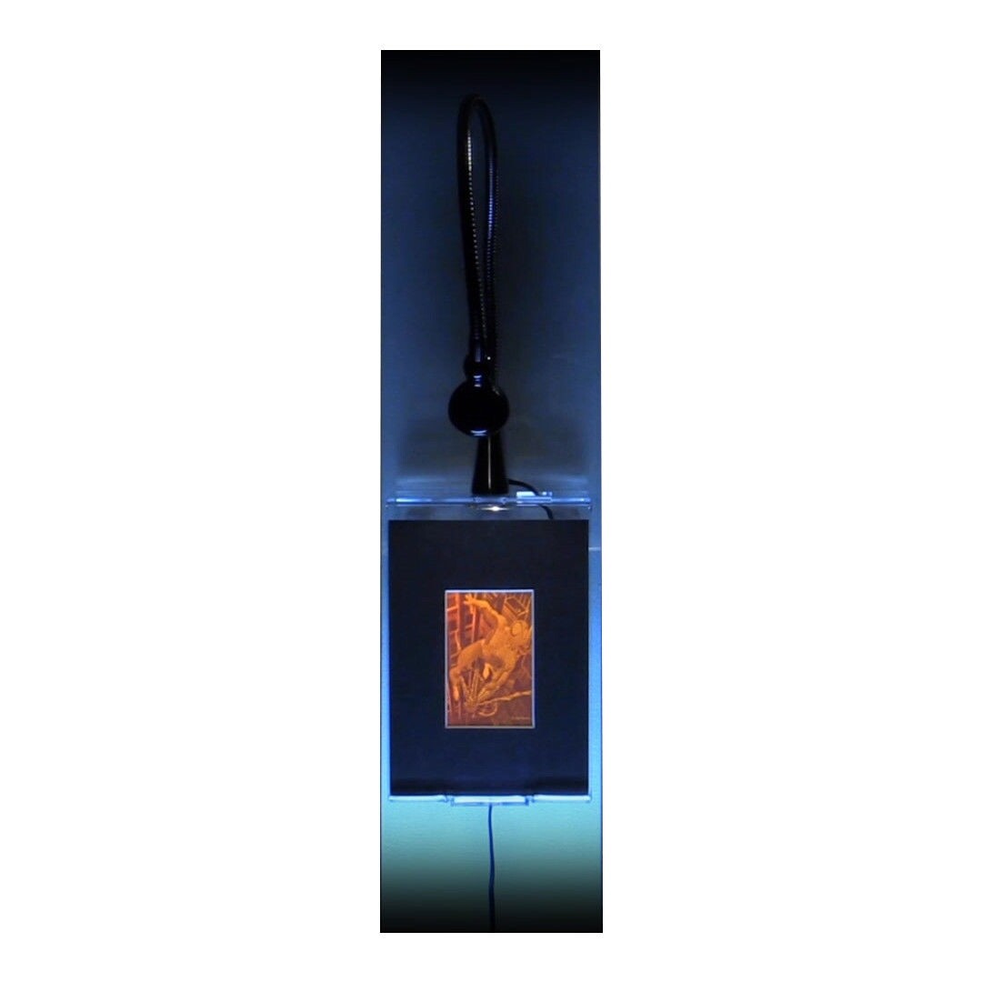 3D Spiderman Hologram Picture (LIGHTED WALL MOUNT), PhotoPolymer VERY FEW LEFT!!