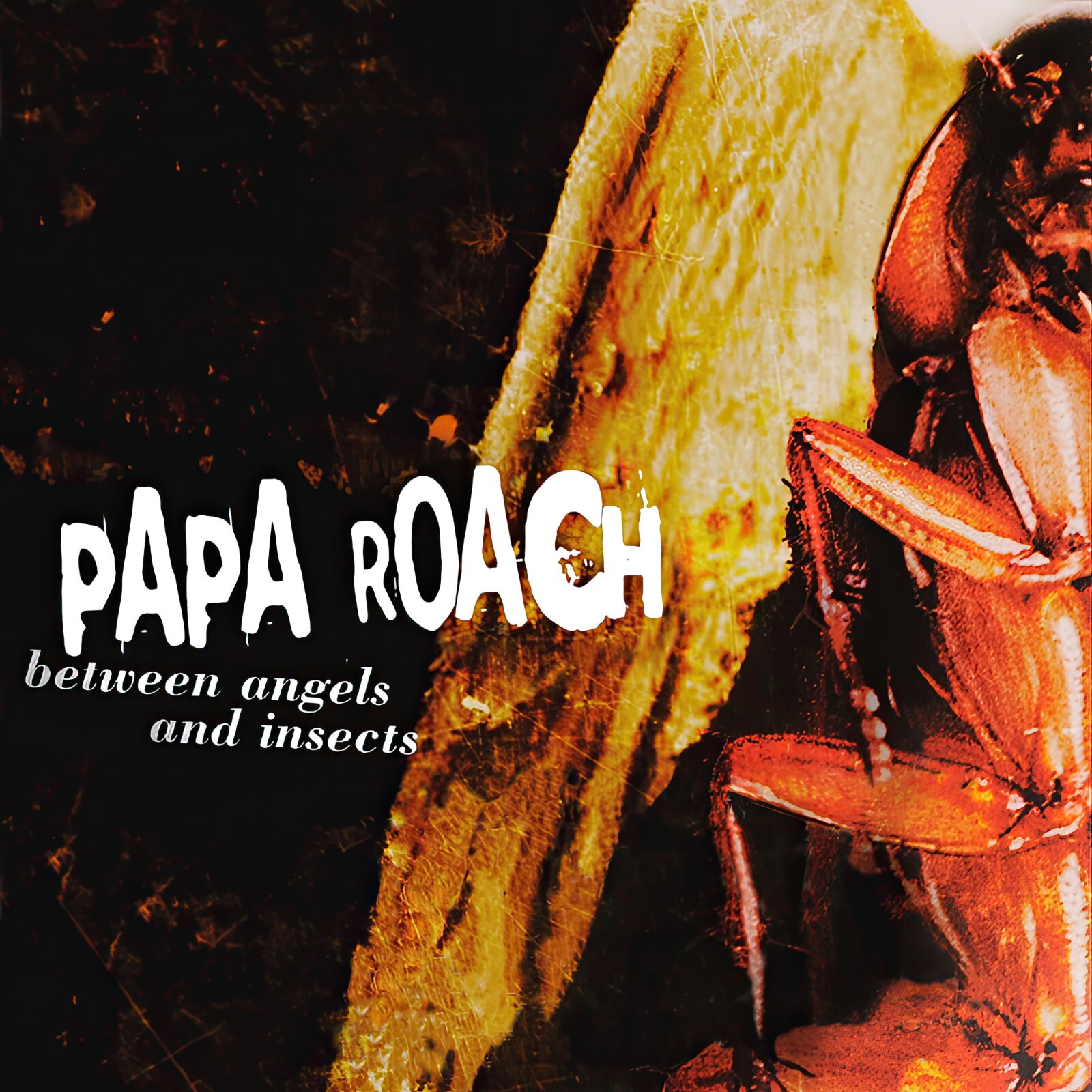 Papa Roach Between Angels & Insects SINGLE 12×12 Album Cover Flat Poster Print