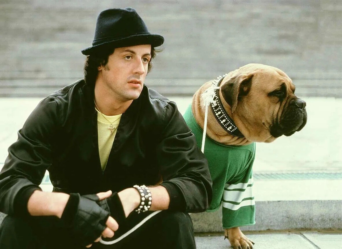Rocky 2 1979 Sylvester Stallone As Robert Rocky Balboa 8×10 Picture Celebrity Pr