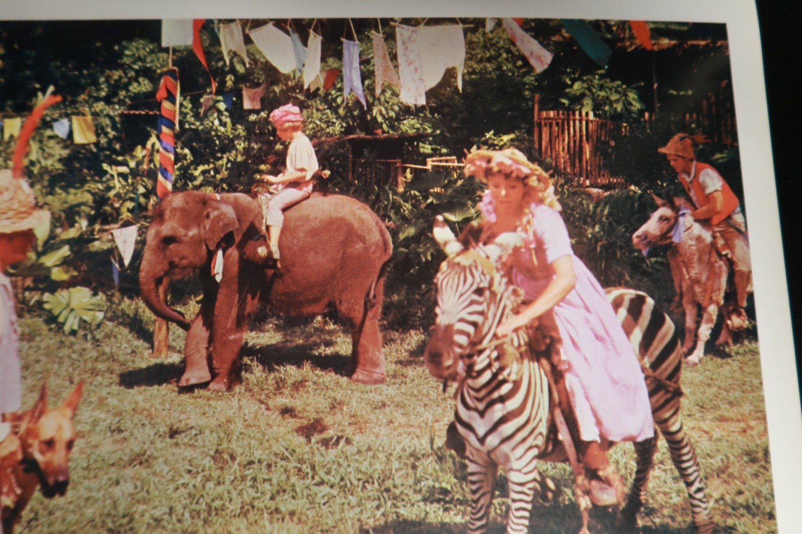 Swiss Family Robinson Lobby Cards 1975 Disney Stills Originals 11 x 14 NSS R75/4