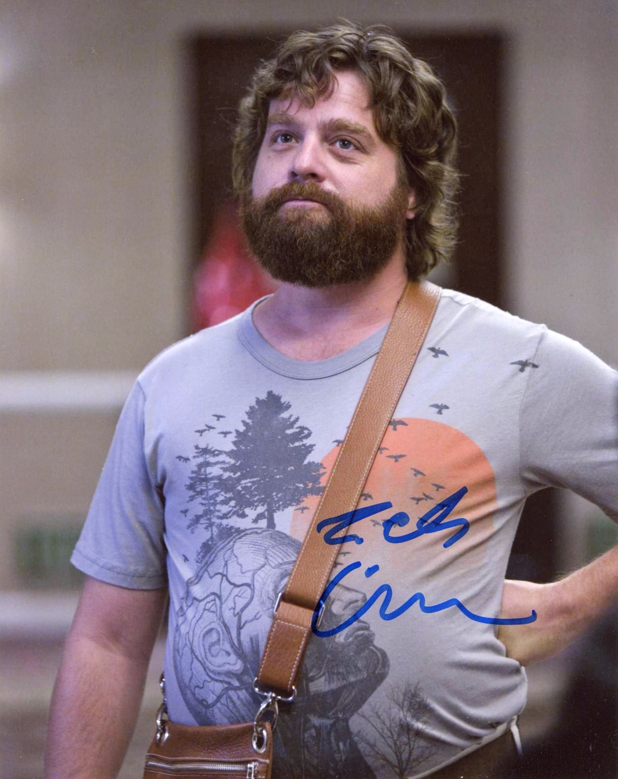 ~~ ZACH GALIFIANAKIS Authentic Hand-Signed “ALAN – The Hangover ” 8×10 photo ~~