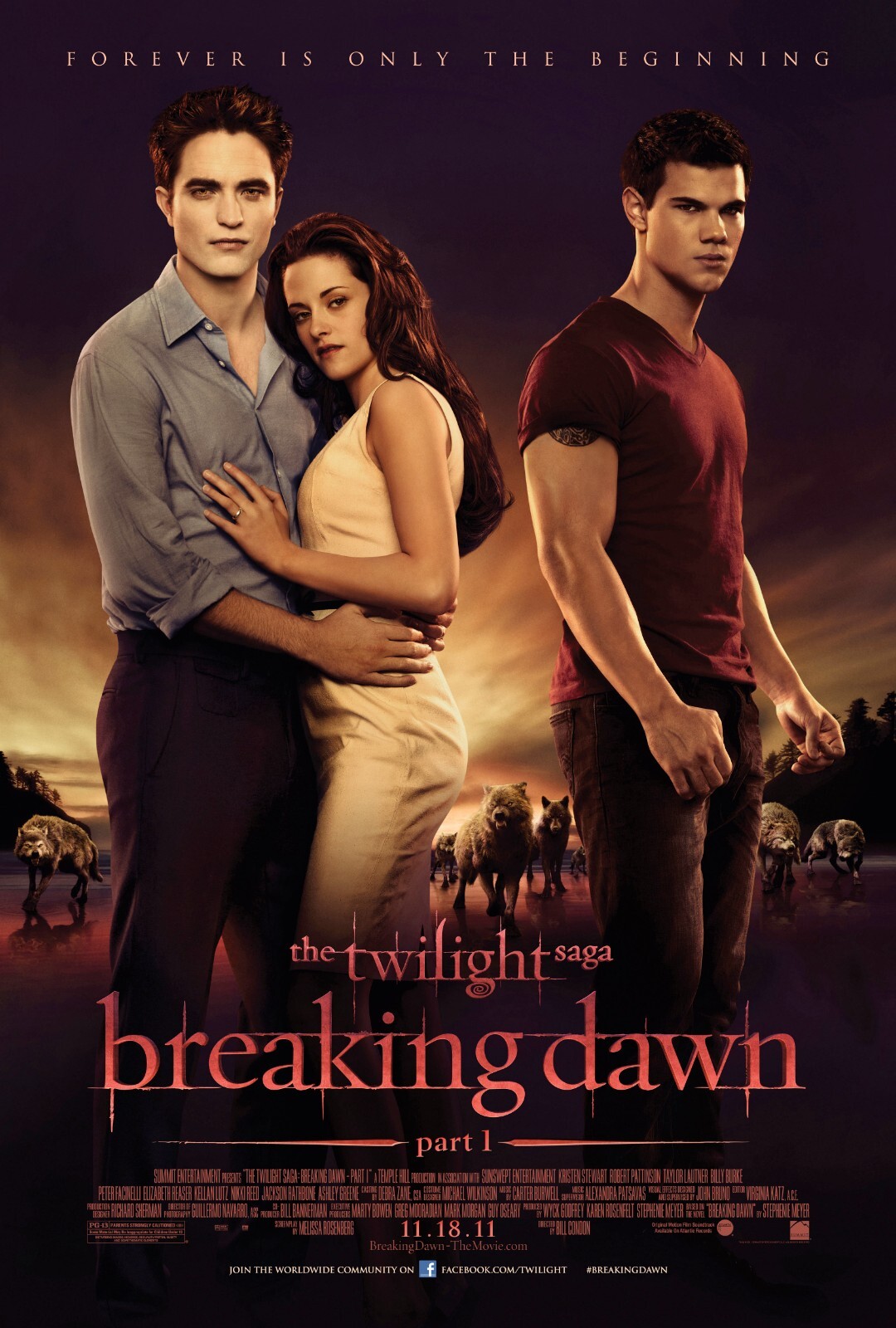 Same Day Shipping TWILIGHT Breaking Dawn Kristen Stewart Borderles 11×17 Poster
