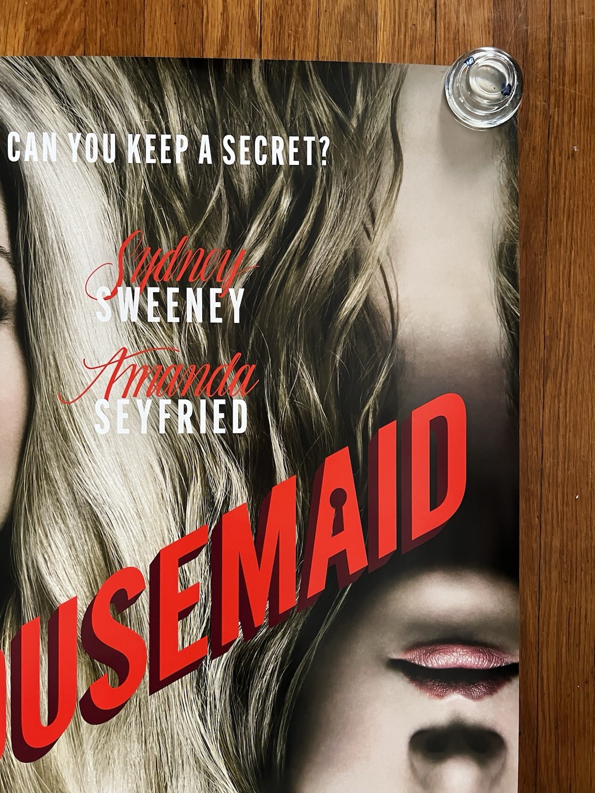 The Housemaid DS Theatrical Movie Poster 27×40