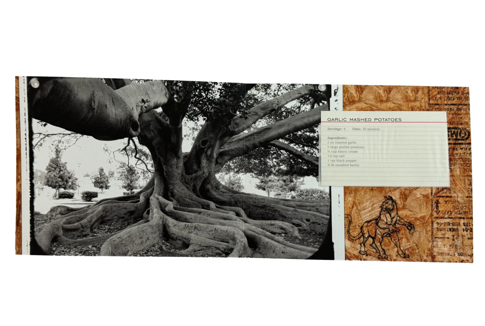 Zac Brown Band x6 Signed Autograph Southern Ground Recipe Book w/ JSA COA