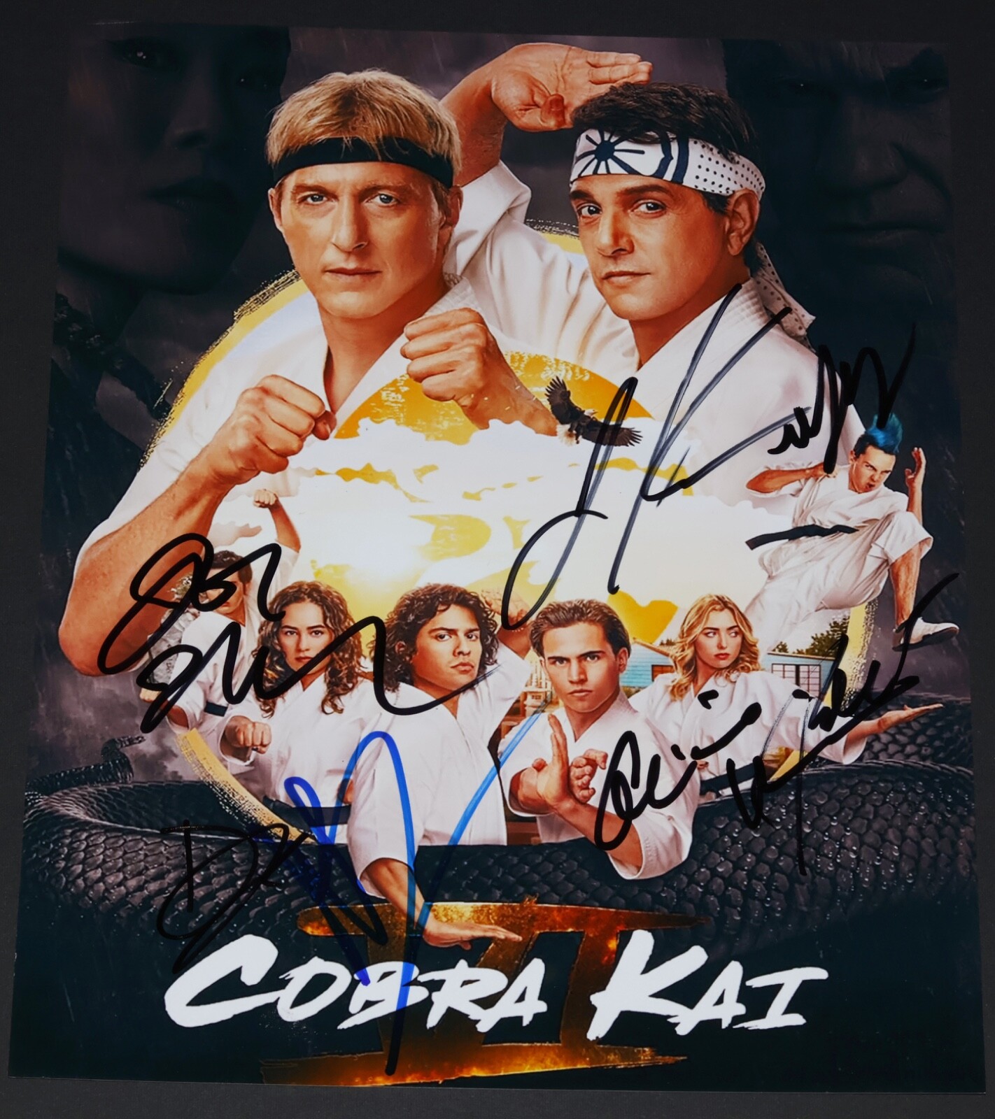 WILLIAM ZABKA + 6X CAST Signed COBRA KAI 8.5×11 PHOTO + PROOF autograph karate