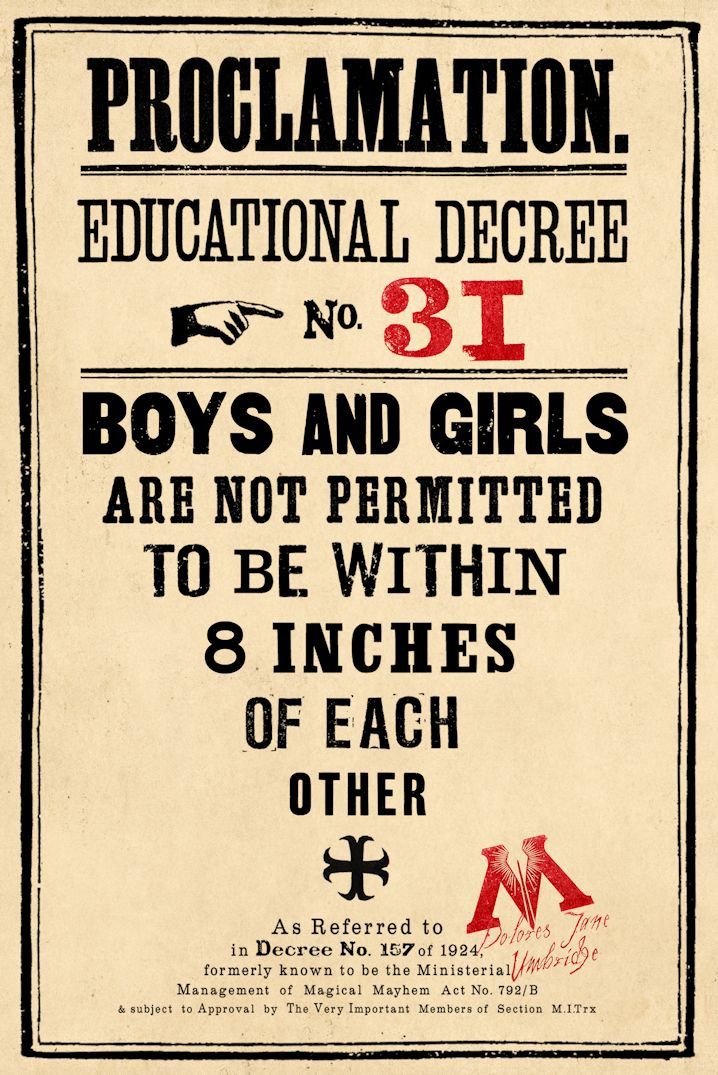 Harry Potter Educational Decree Proclamation No 31 Poster 11×17 Umbridge 2007