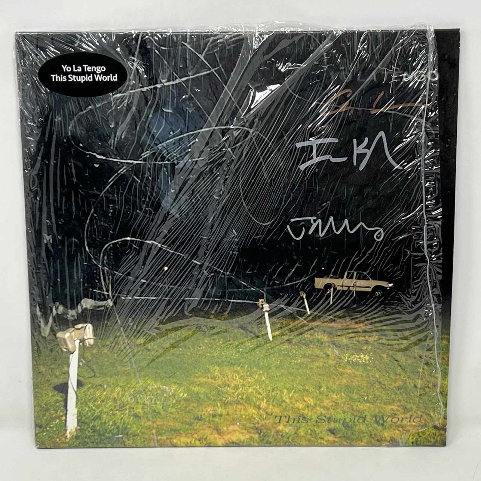 Yo La Tengo Signed Autographed Vinyl Record LP This Stupid World