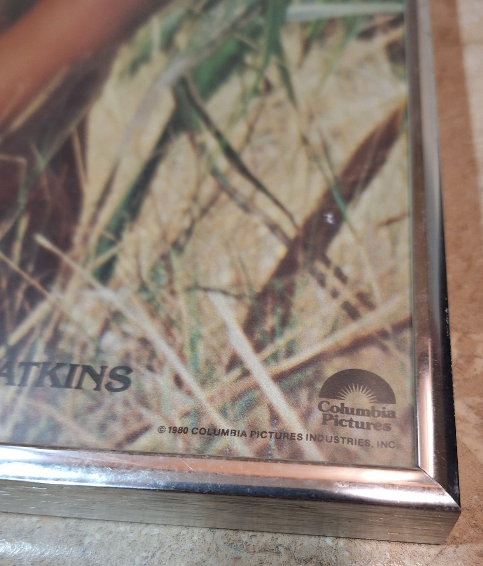 Vintage 1980 Blue Lagoon Columbia Pictures Movie Poster Metal Framed 22.5″x11.5″