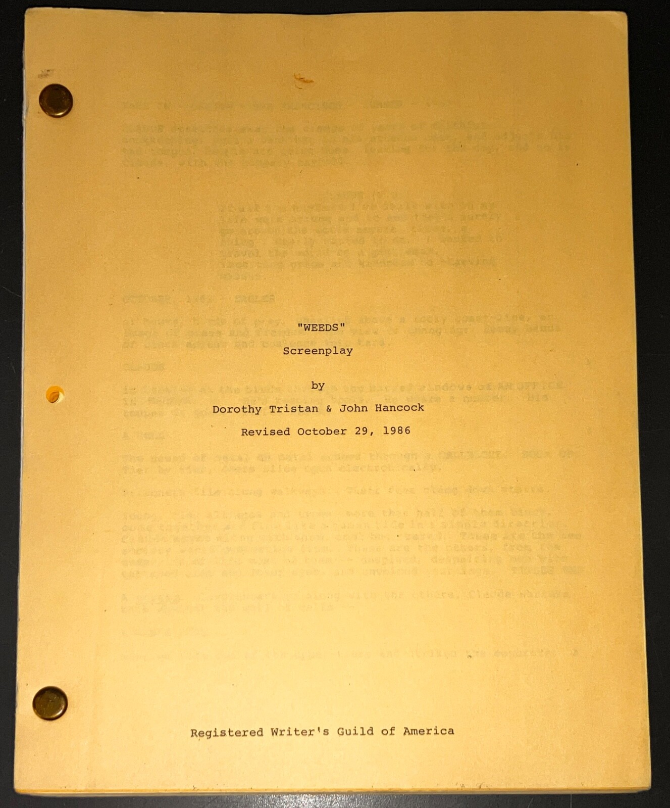 WEEDS (1987) Movie Script Nick Nolte Ernie Hudson Prison Drama Original COA