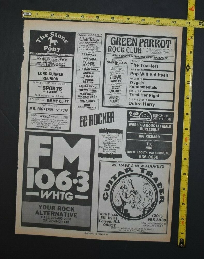 Deborah Harry 1989-1994 5PC Concert Ad/Album Review Lot Blondie