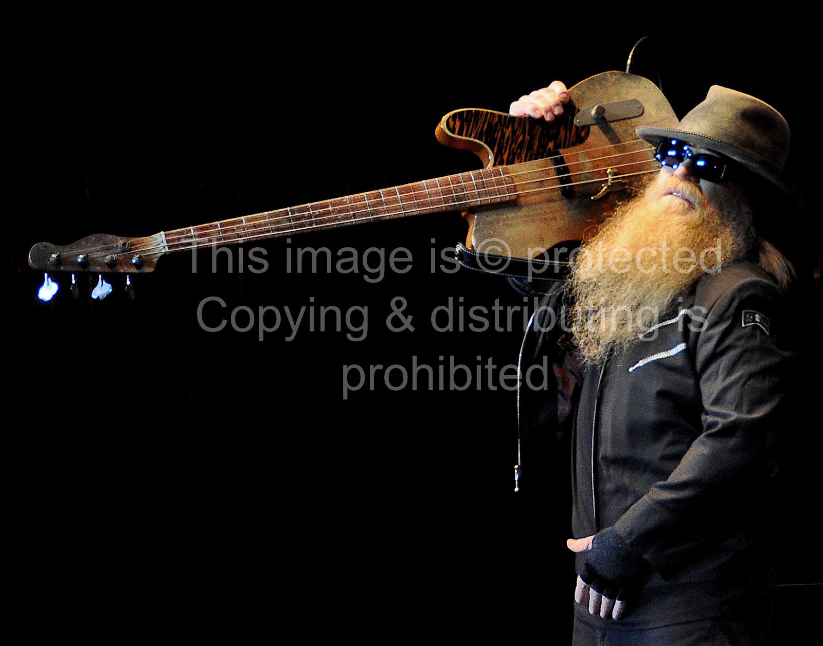 ZZ Top Dusty Hill Concert Photo