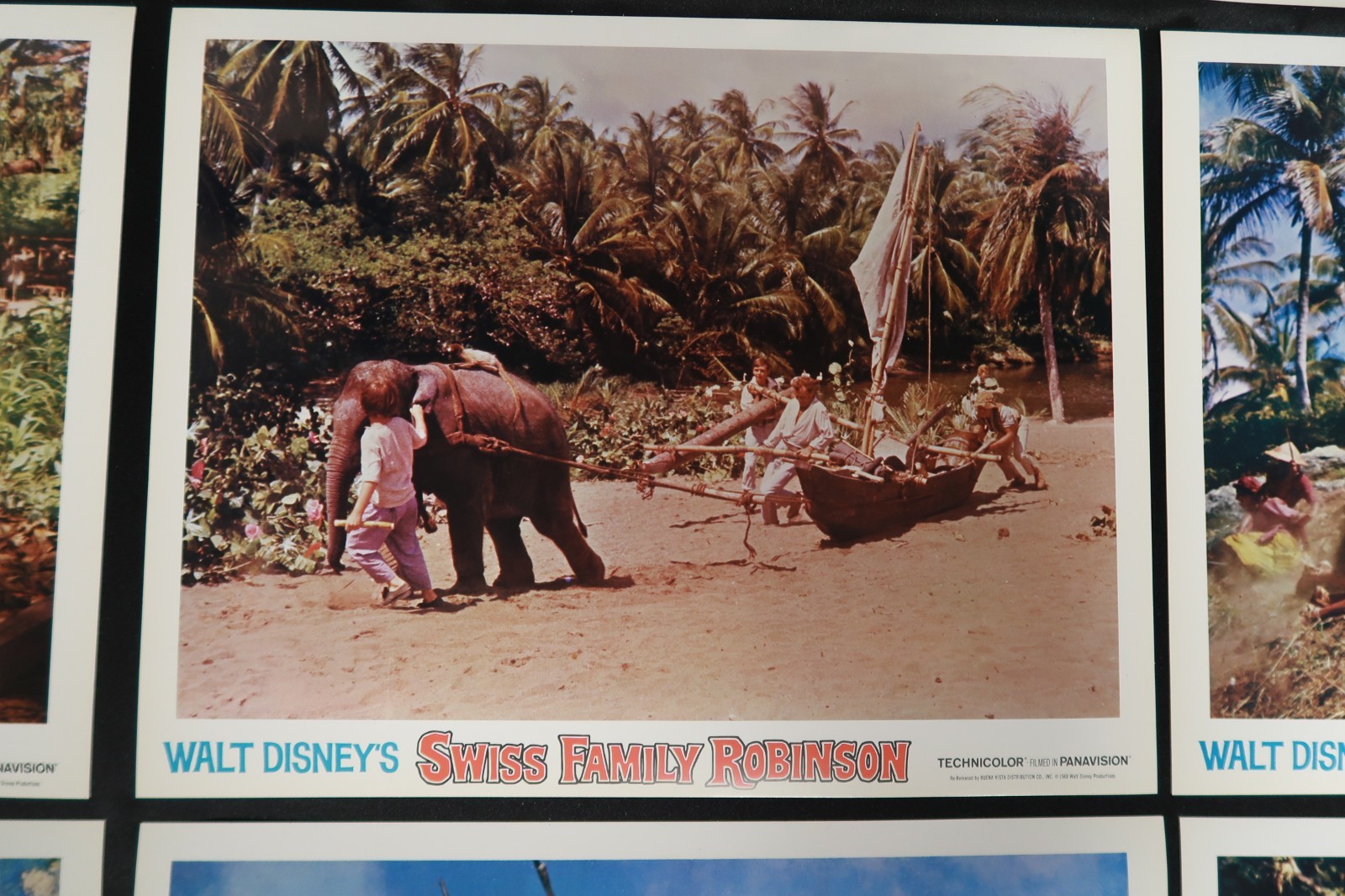 Swiss Family Robinson Lobby Cards 1975 Disney Stills Originals 11 x 14 NSS R75/4