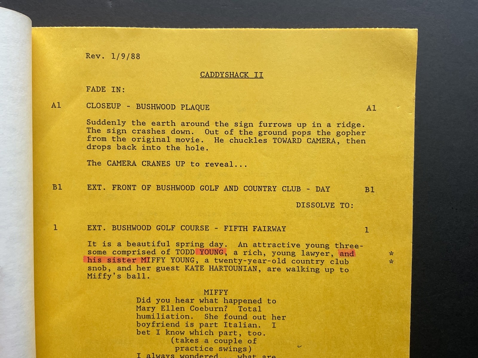 CADDYSHACK II by PETER TOROKVEI & HAROLD RAMIS Screenplay 1987, Warner Brothers