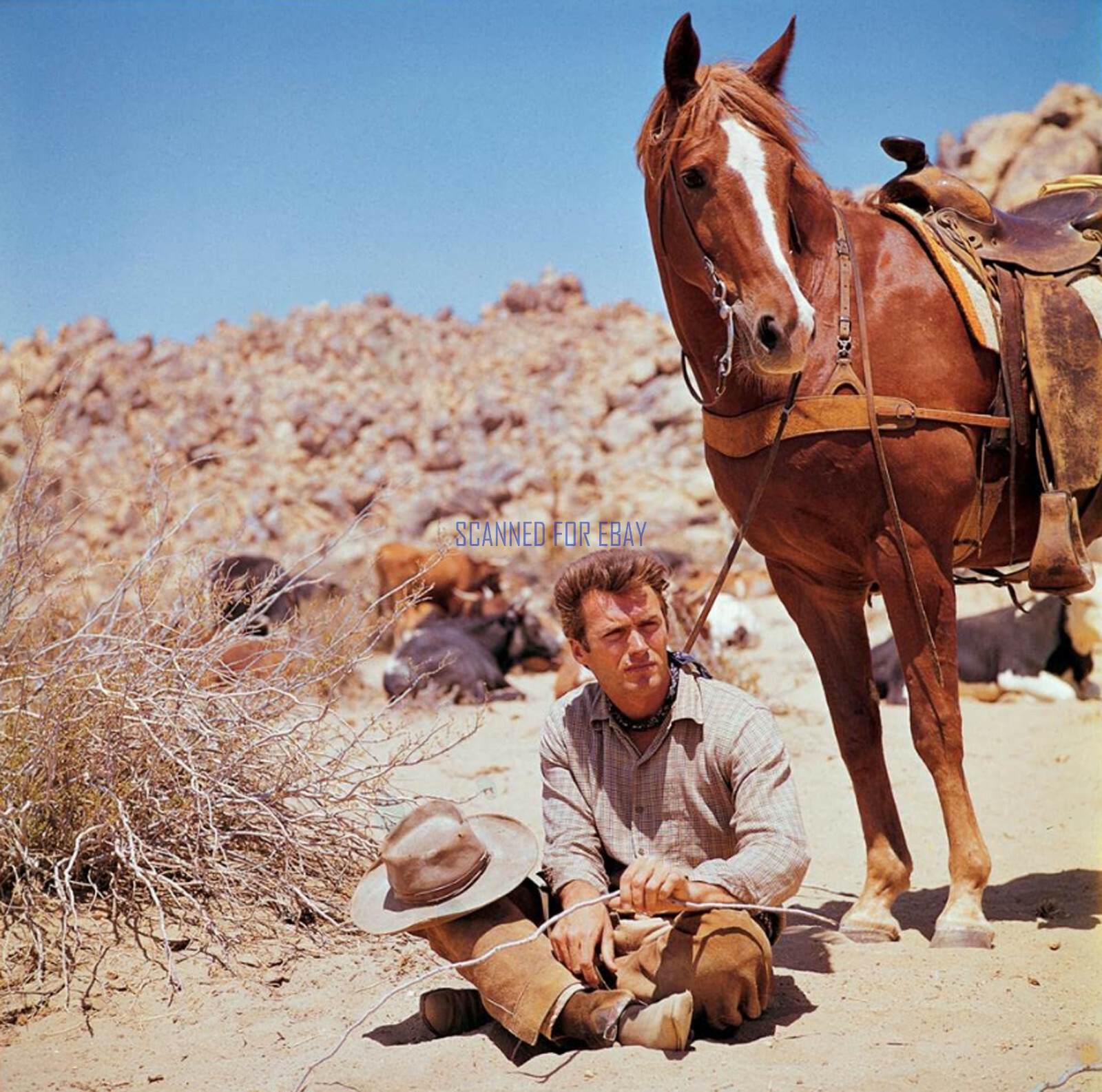 RAWHIDE CLINT EASTWOOD AS ROWDY YATES RARE PHOTO