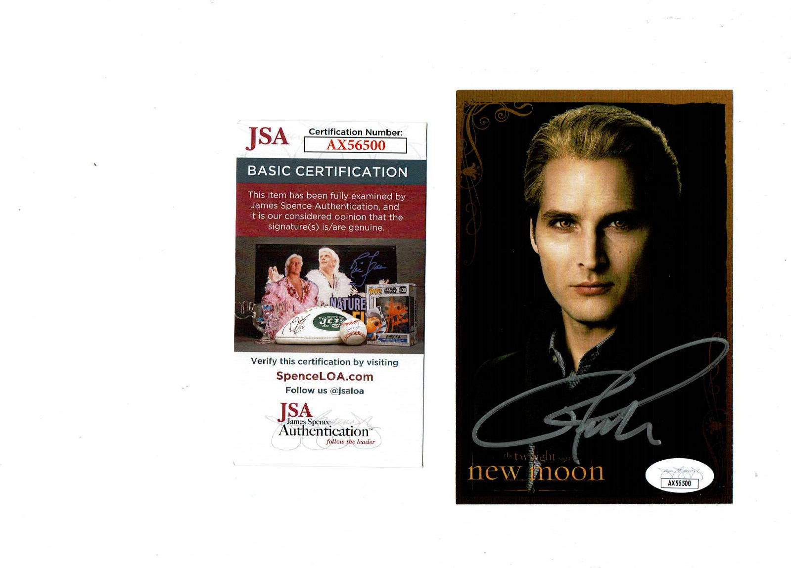 Twilight actor Peter Facinelli autographed 4×6 color photo JSA Certified