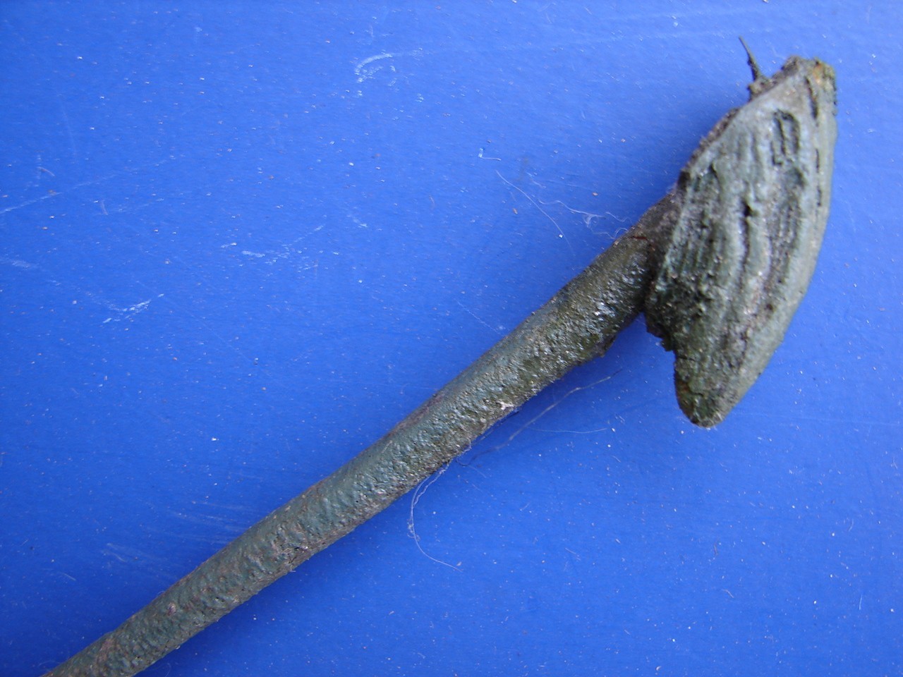 LAND OF THE LOST 2009 SCREEN USED 11″ LONG SLEESTAK SPIKE ARROW BARB W/SCALE