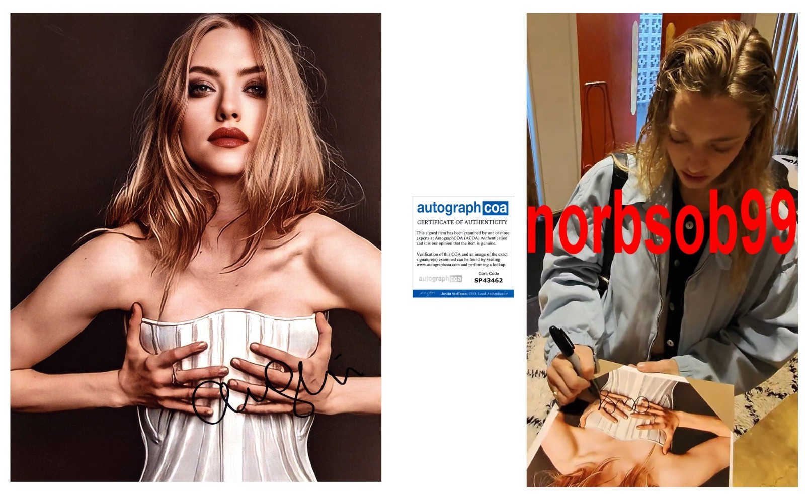 AMANDA SEYFRIED SIGNED THE HOUSEMAID 11×14 PHOTO A w/EXACT PROOF & AUTOGRAPH COA