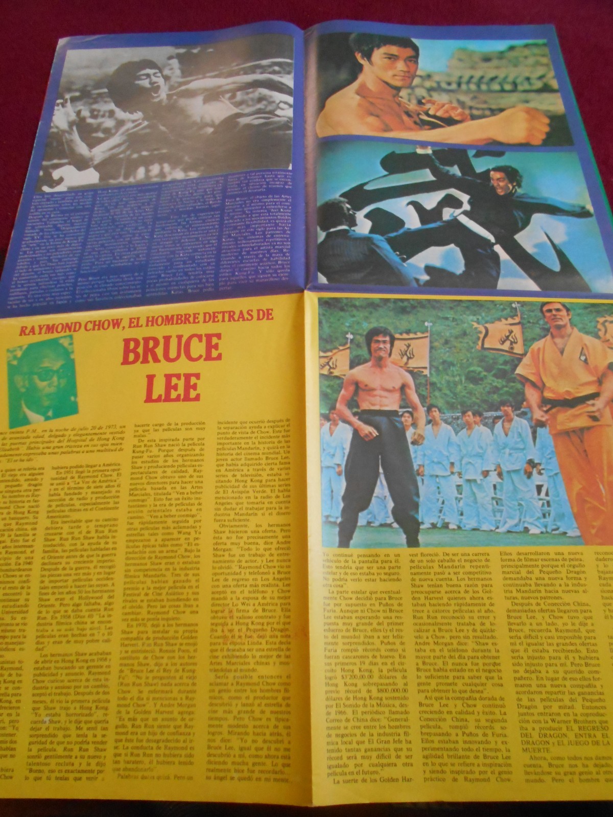 CARTEL magazine BRUCE LEE SUPER POSTER 34X25″ 1977 KUNG FU vintage GAME DEATH