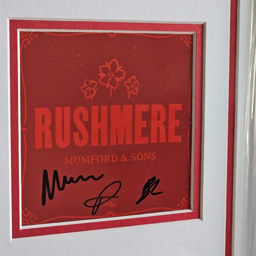 Mumford & Sons Autographed Signed Rushmere CD JSA COA Framed