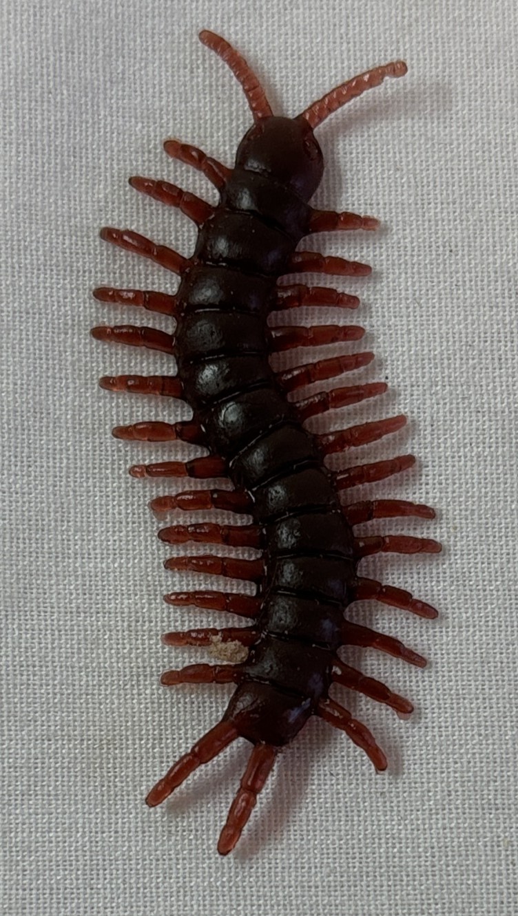 2.5 inch rubber bug from CW tv show SWAMP THING ~ reddish brown centipede