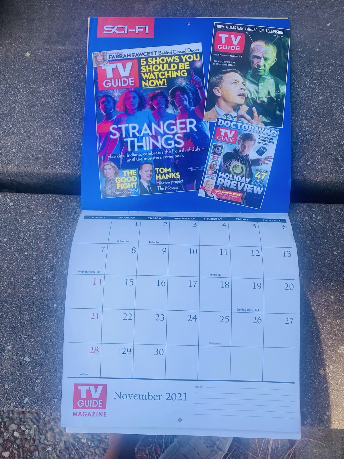 TV Guide Wall Calendar Celebrating the Past and Present and Future of TV 2021